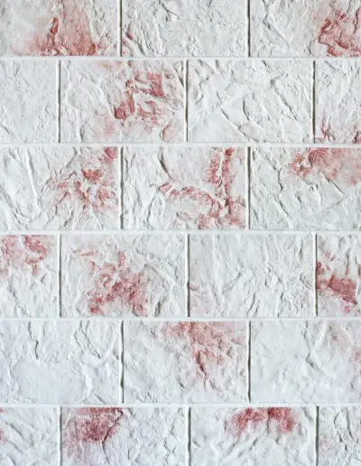 Εύκαμπτη Πέτρα Νο6